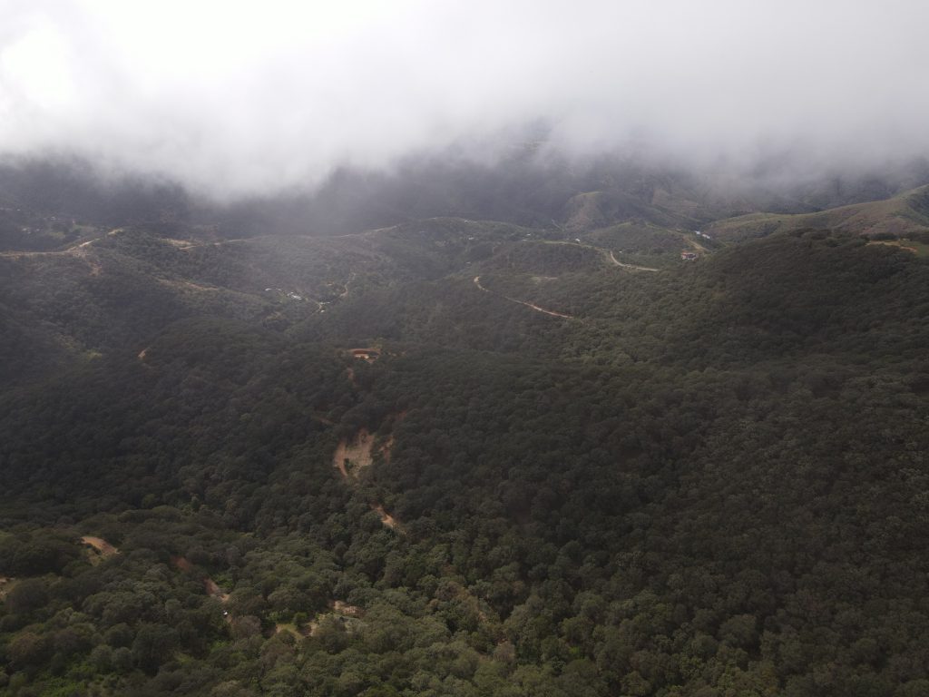 Cucursola Guanajuato Un Refugio Natural para los Amantes de la Vida Verde